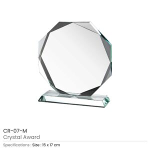 Crystal Awards - Image 6